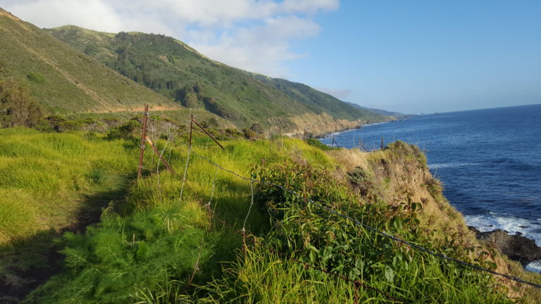 Big Sur: Kirk Creek Campground - Switchback to Wild